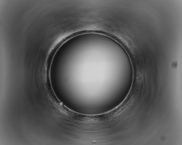 X0000098121270200804041359