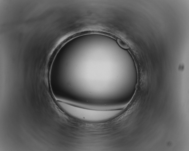 X0000098121272200804041359