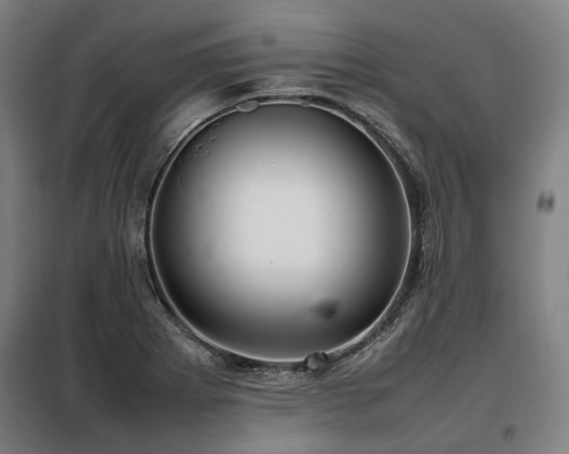 X0000098121273200804041359