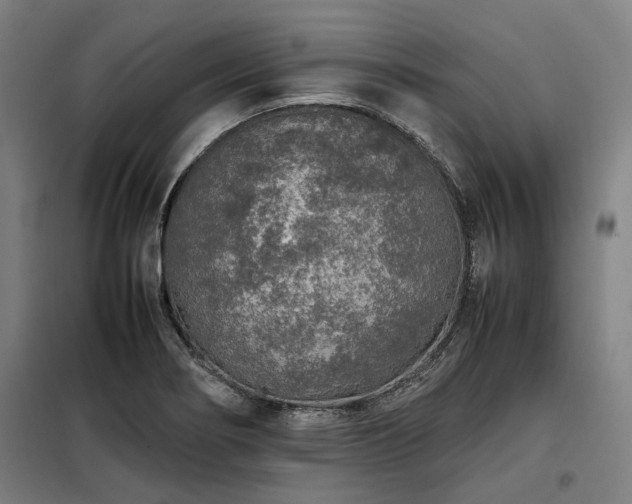 X0000098121274200804041359