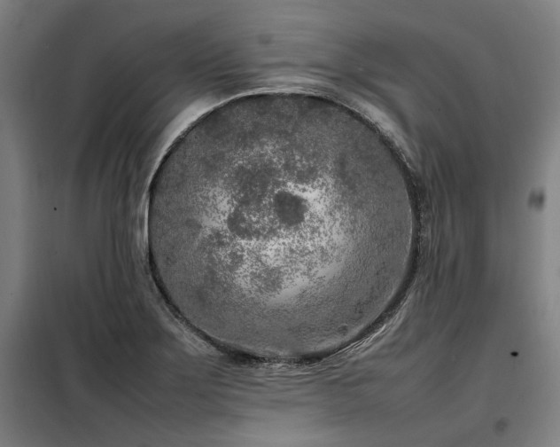 X0000098121275200804041359