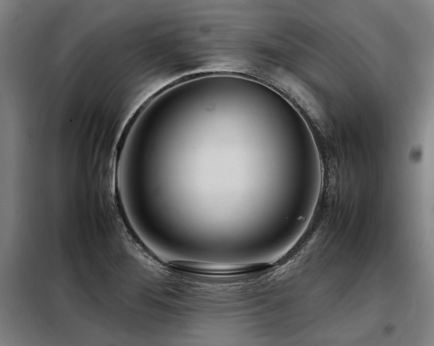X0000098121276200804041359