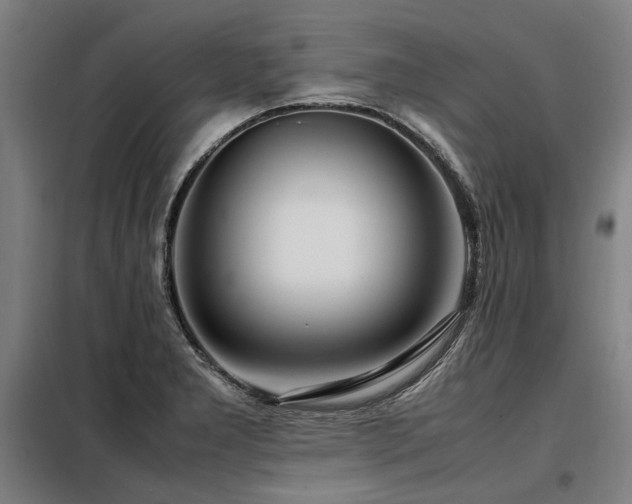 X0000098121277200804041359