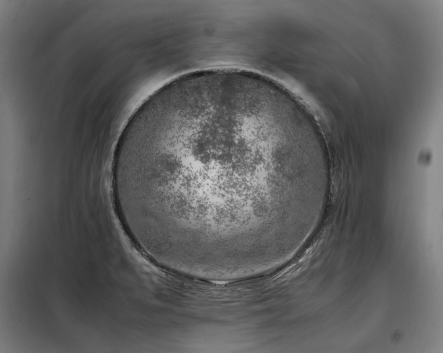 X0000098121279200804041359