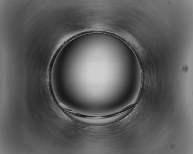 X0000098121280200804041359
