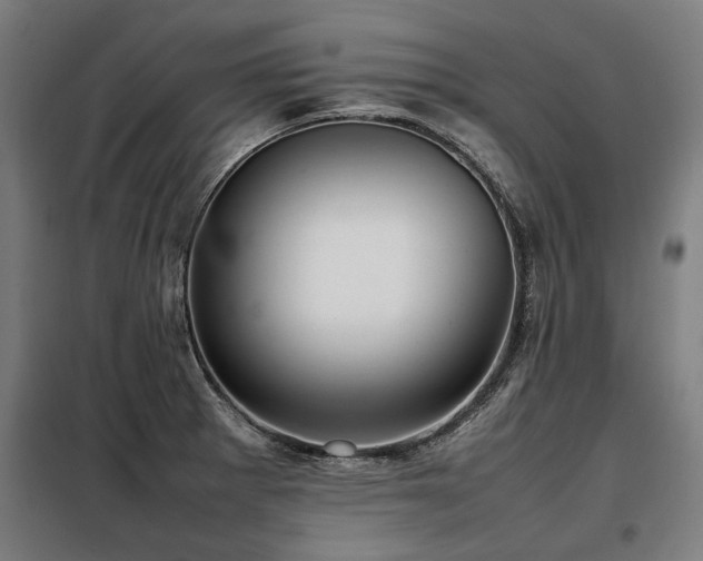 X0000098121281200804041359