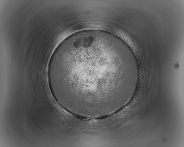 X0000098121283200804041359