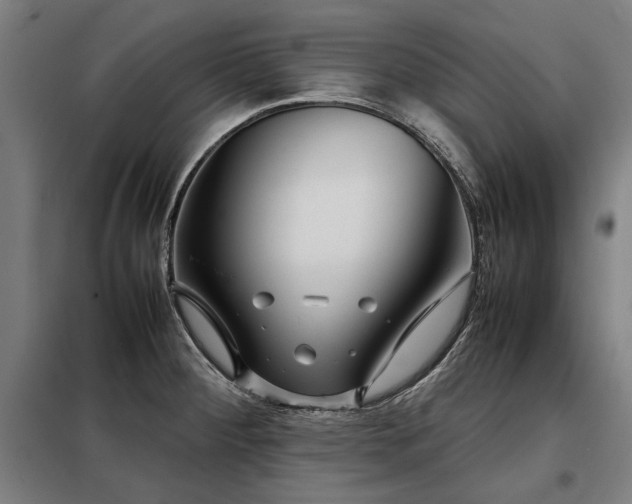 X0000098121284200804041359