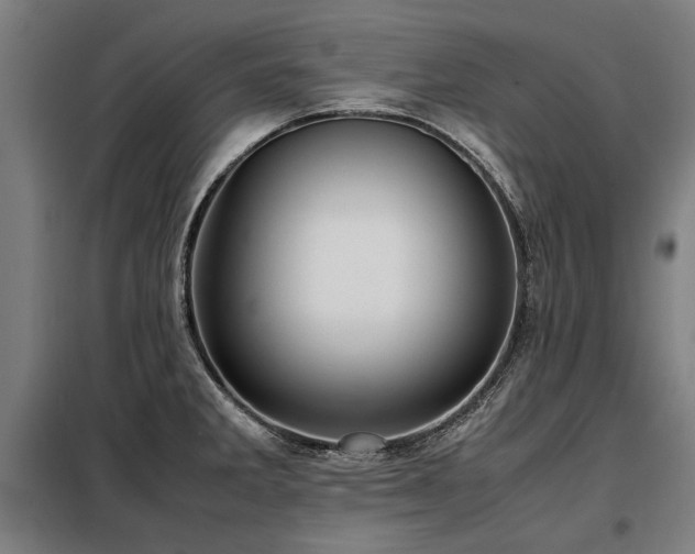 X0000098121285200804041359