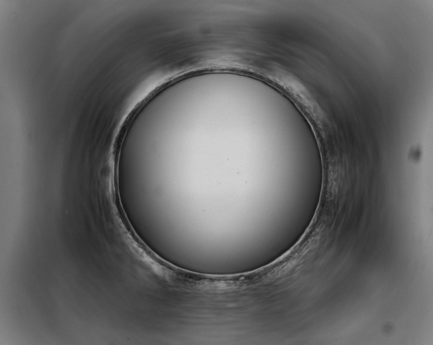 X0000098121286200804041359