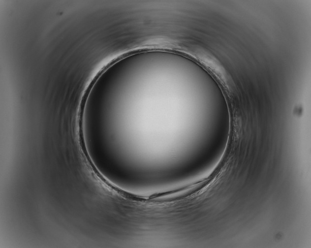 X0000098121288200804041359