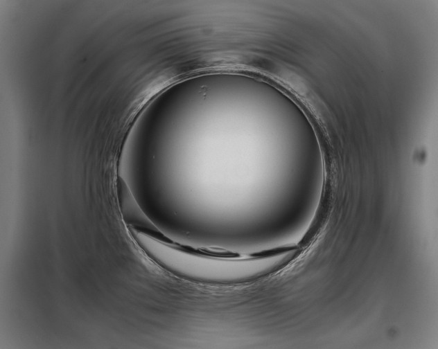 X0000098121289200804041359