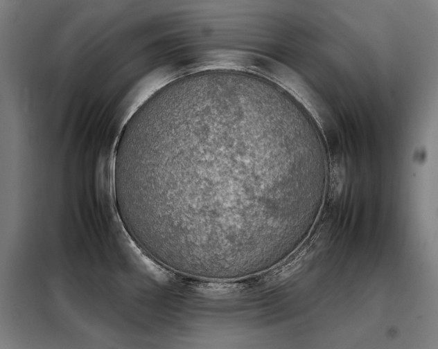 X0000098121290200804041359