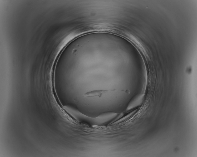 X0000098121291200804041359