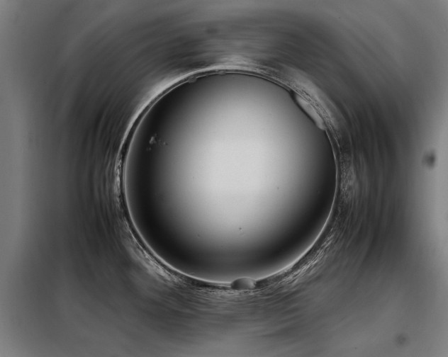 X0000098121292200804041359