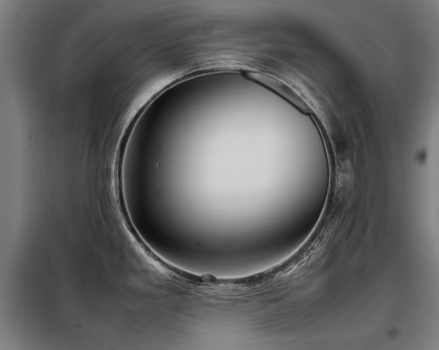 X0000098121293200804041359