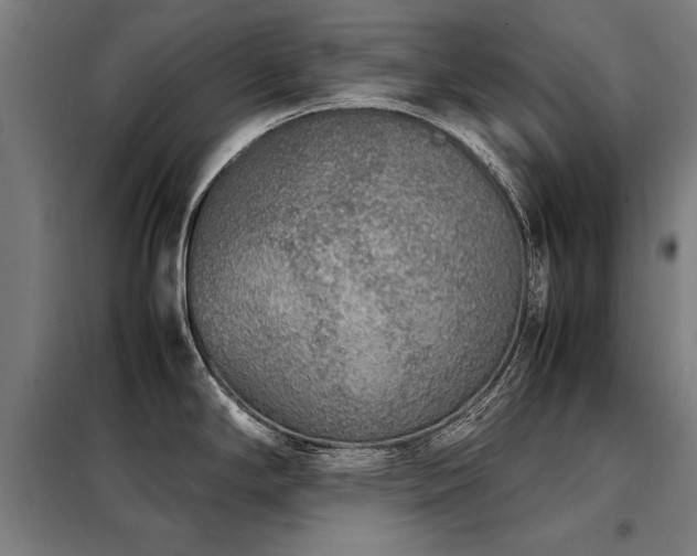 X0000098121294200804041359