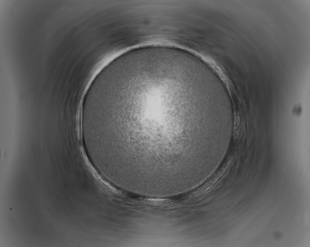 X0000098121295200804041359