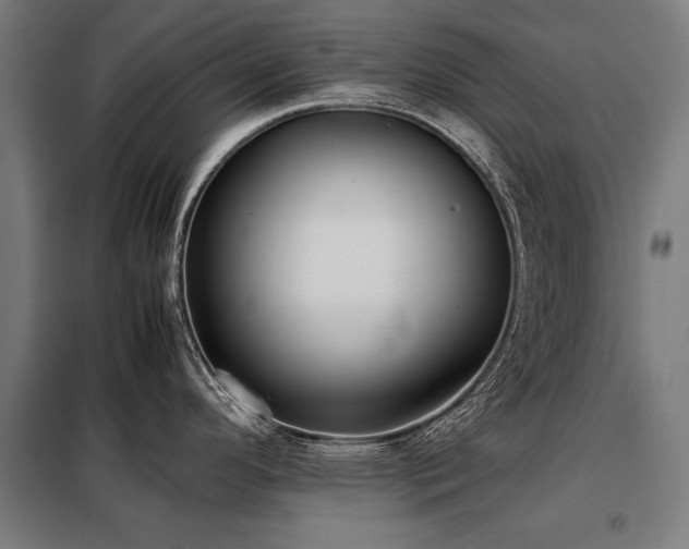X0000098121296200804041359