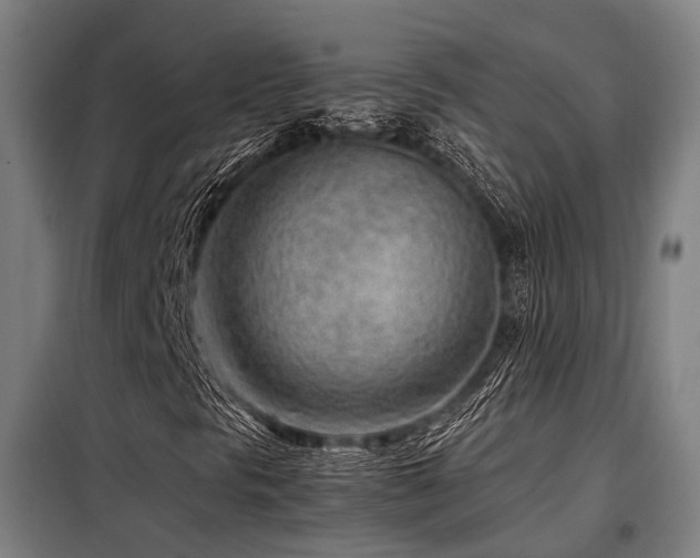 X0000098121297200804041358