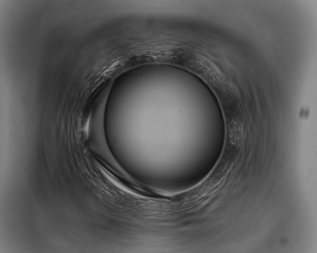 X0000098121298200804041358