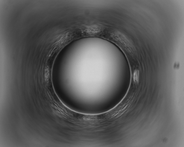X0000098121299200804041358
