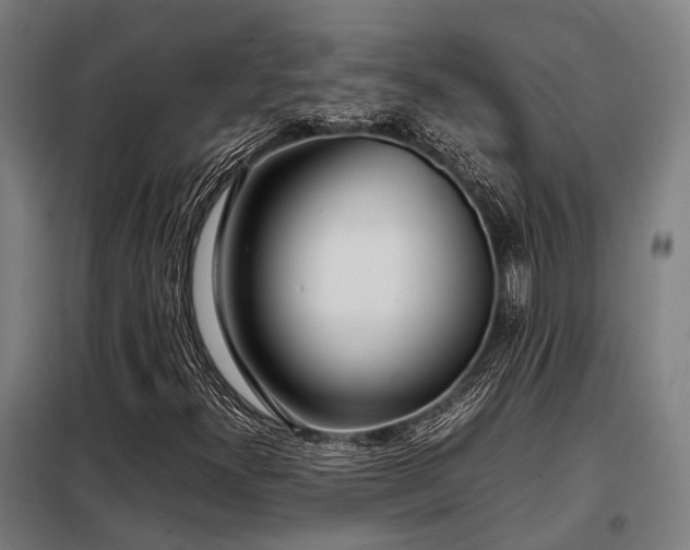 X0000098121300200804041358