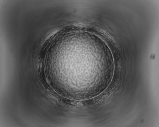 X0000098121302200804041358