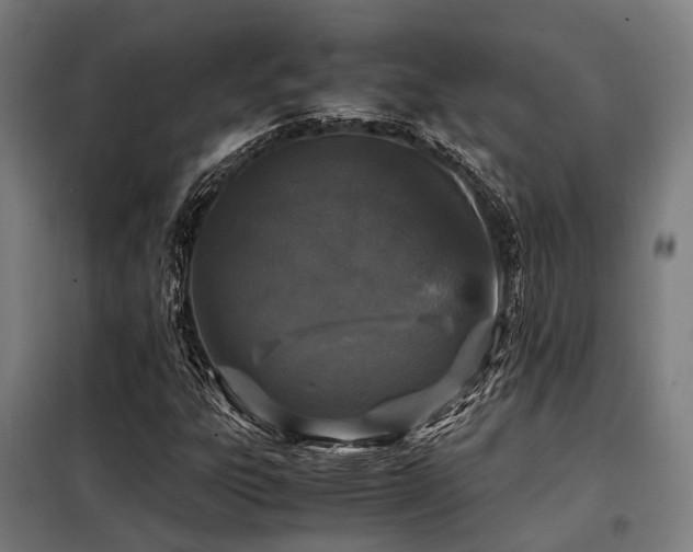 X0000098121303200804041358