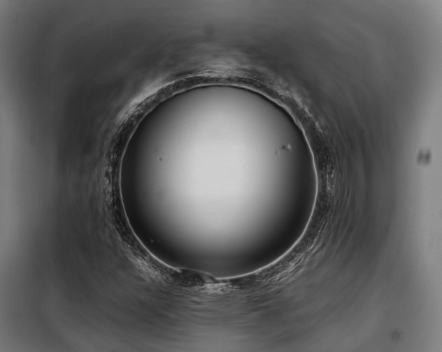 X0000098121304200804041358