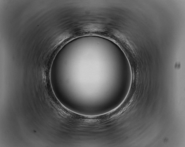 X0000098121305200804041358