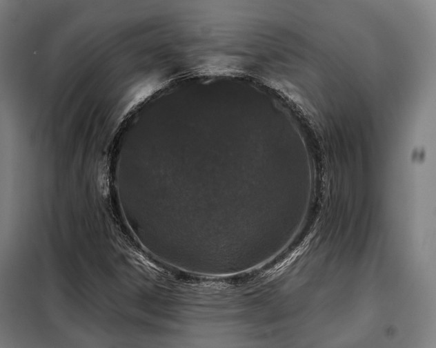 X0000098121306200804041358