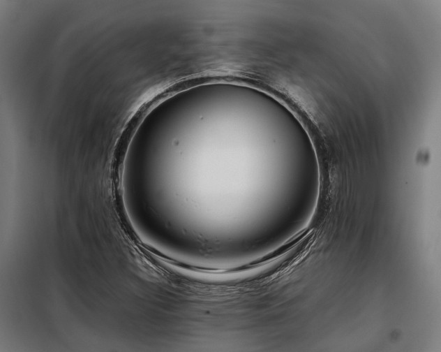 X0000098121308200804041358