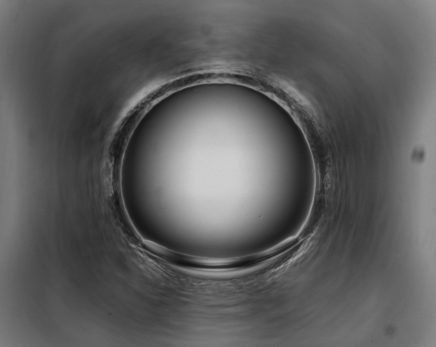 X0000098121310200804041358