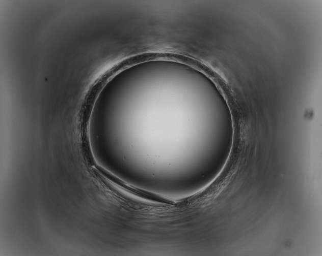 X0000098121311200804041358