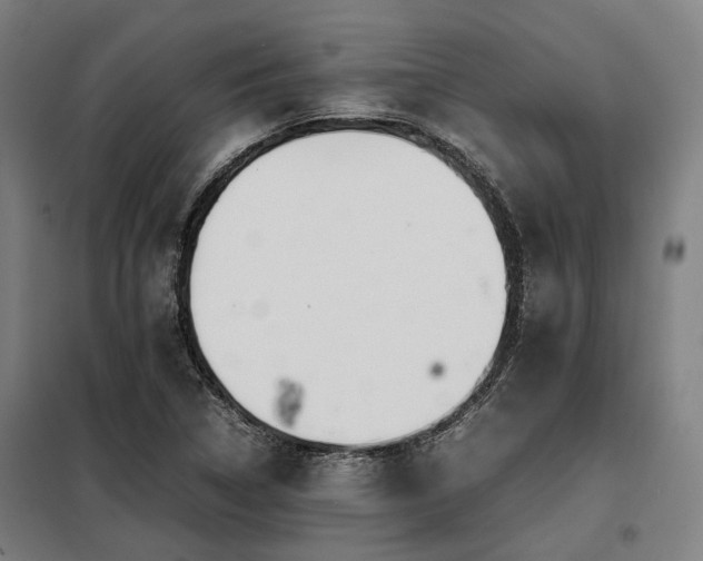 X0000098121314200804041359