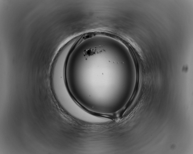 X0000098121316200804041359