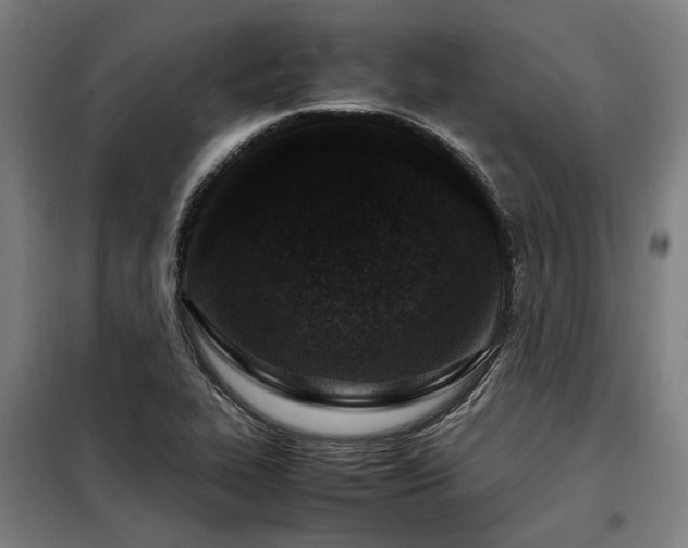 X0000098121319200804041359