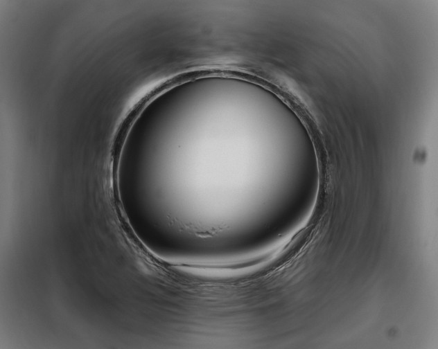 X0000098121320200804041359