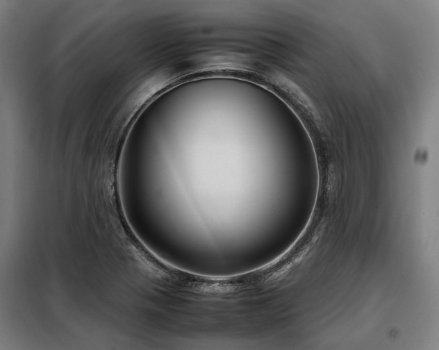 X0000098121321200804041359