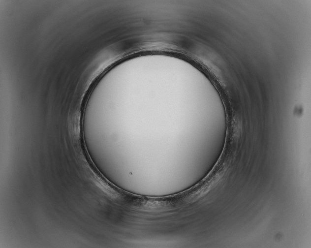 X0000098121322200804041359
