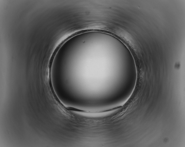 X0000098121324200804041359