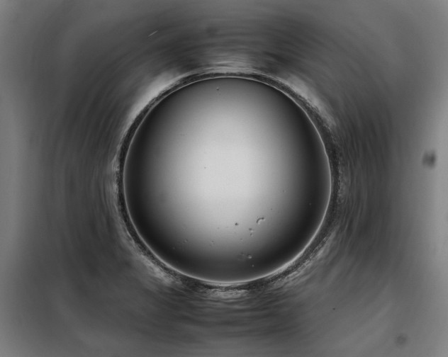 X0000098121325200804041359