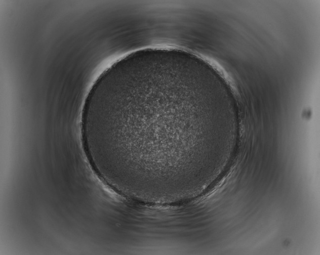 X0000098121327200804041359