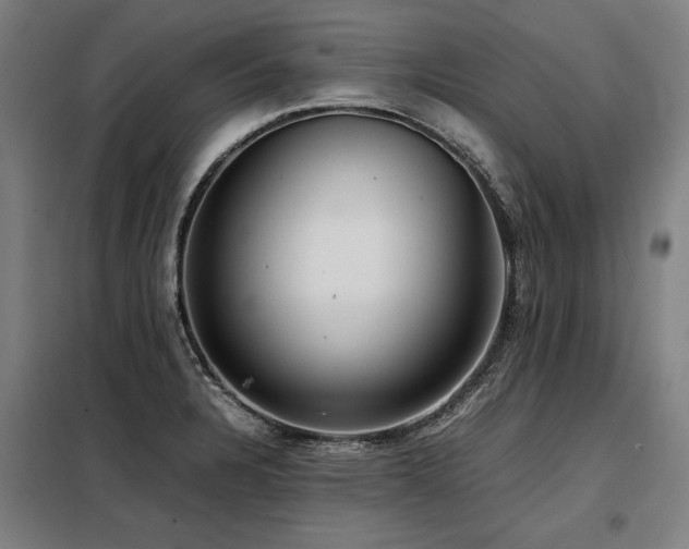 X0000098121328200804041359