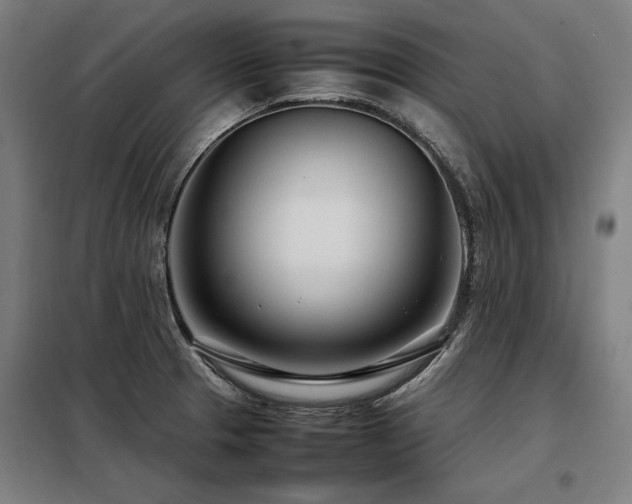 X0000098121329200804041359