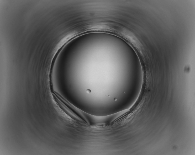 X0000098121330200804041359