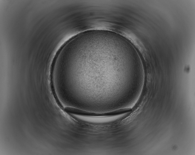 X0000098121331200804041359