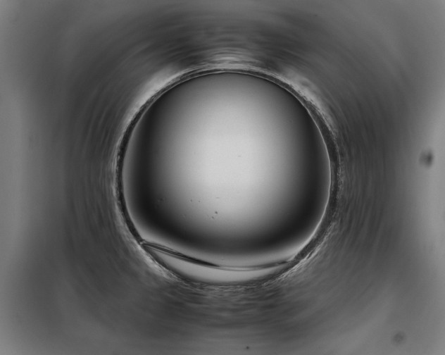 X0000098121333200804041359