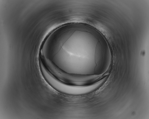 X0000098121334200804041359
